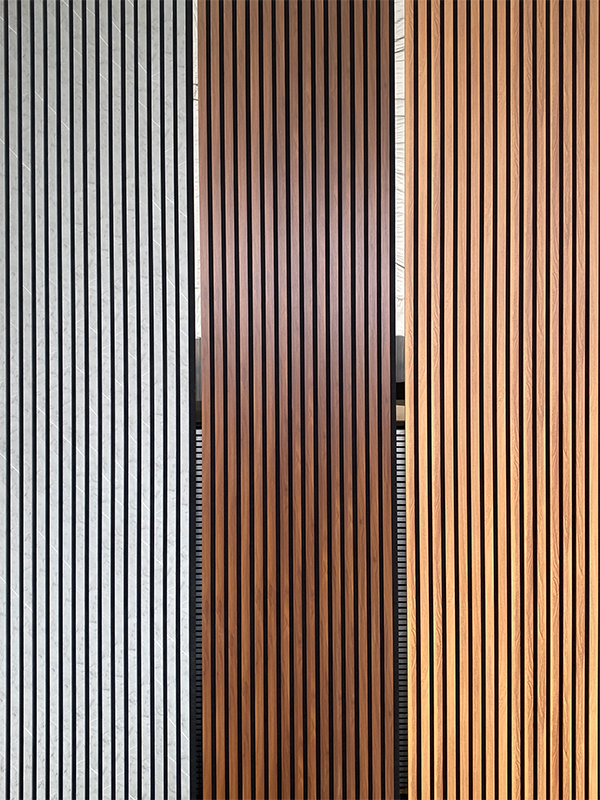 2026 01 22 11 30 img 7808